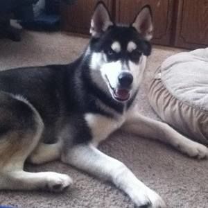 Meet your Posher, Stacy